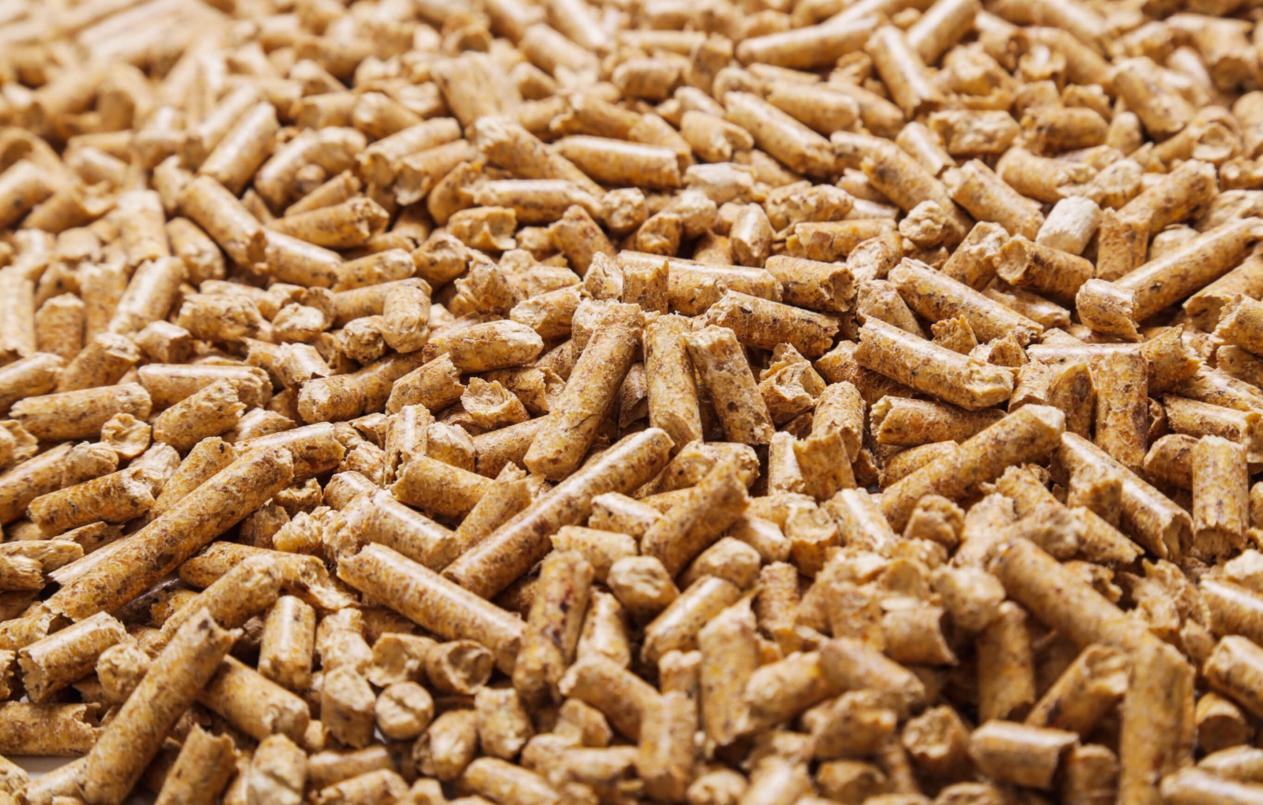 Close-up of wood pellets